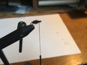 jumbo-mosquito-fly-11