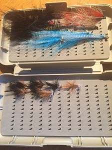 fly-box-streamers-bivisible-dry-fly
