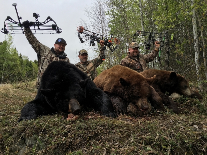 SK black bear bow hunting with Bear Down Outfitters