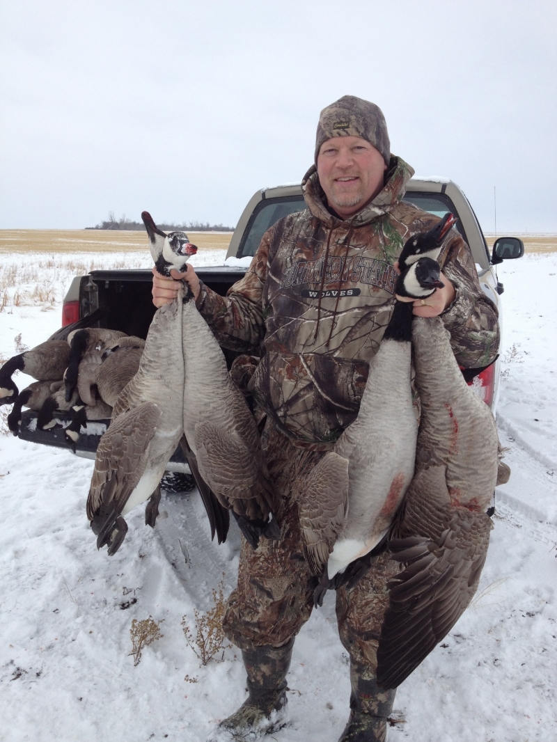 50 Pounds of Canada Geese