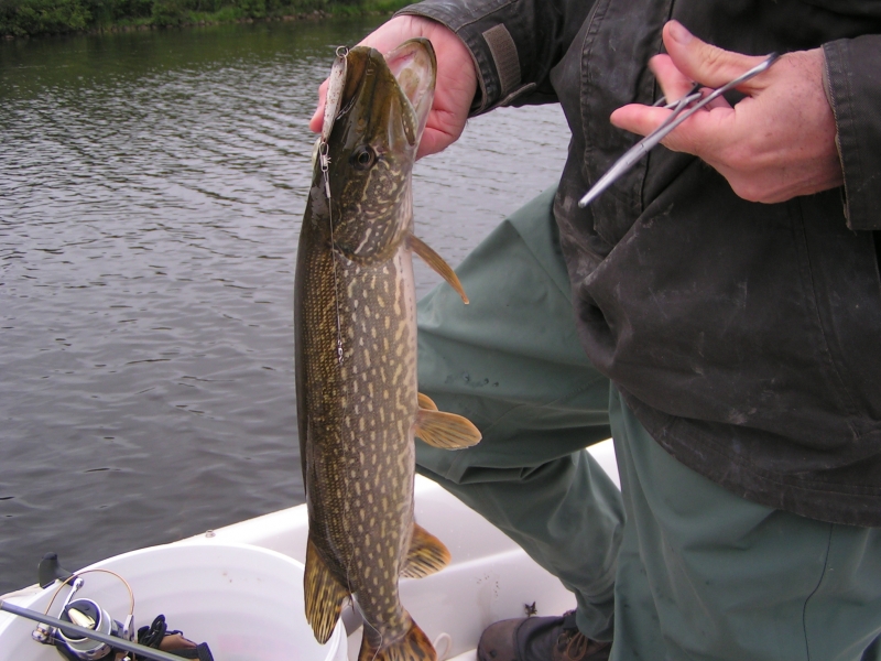 Manitoba Pike Fishing