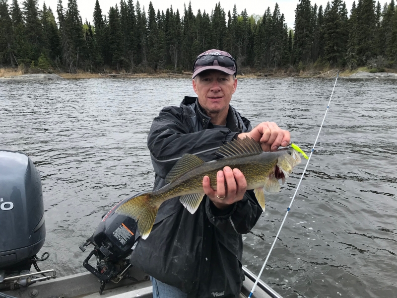 Alan snags another Walleye